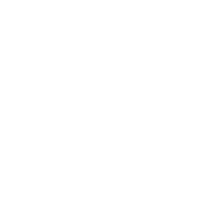 Rand McNally logo