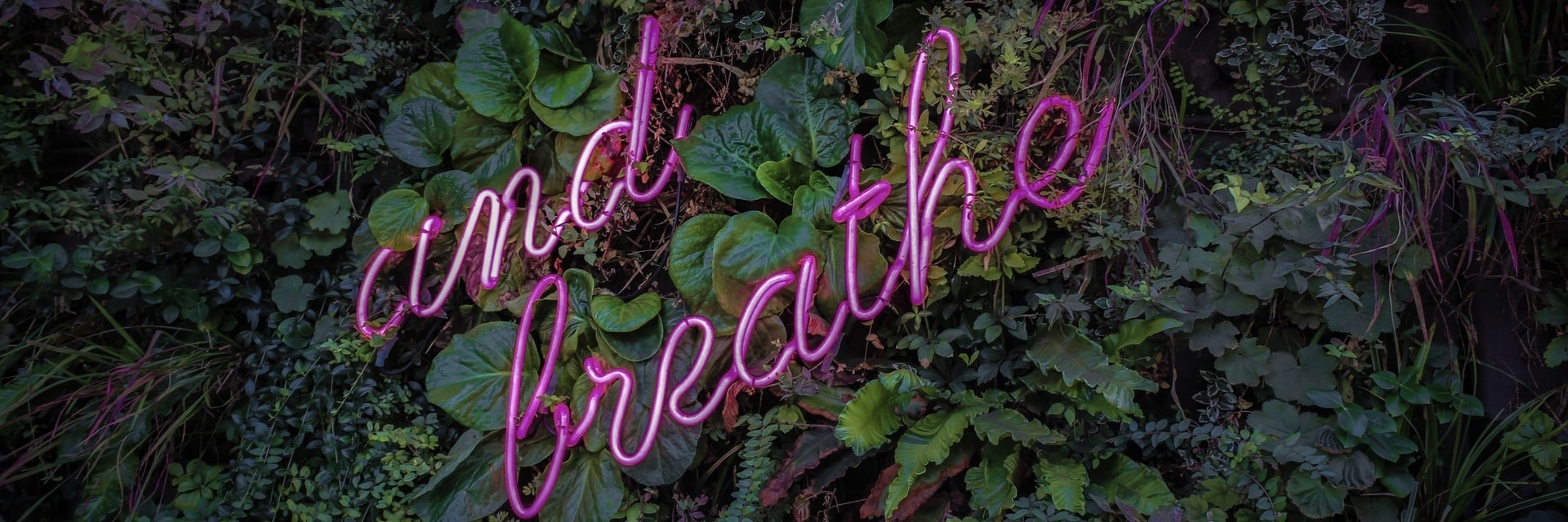 A plant covered wall with a neon sign.