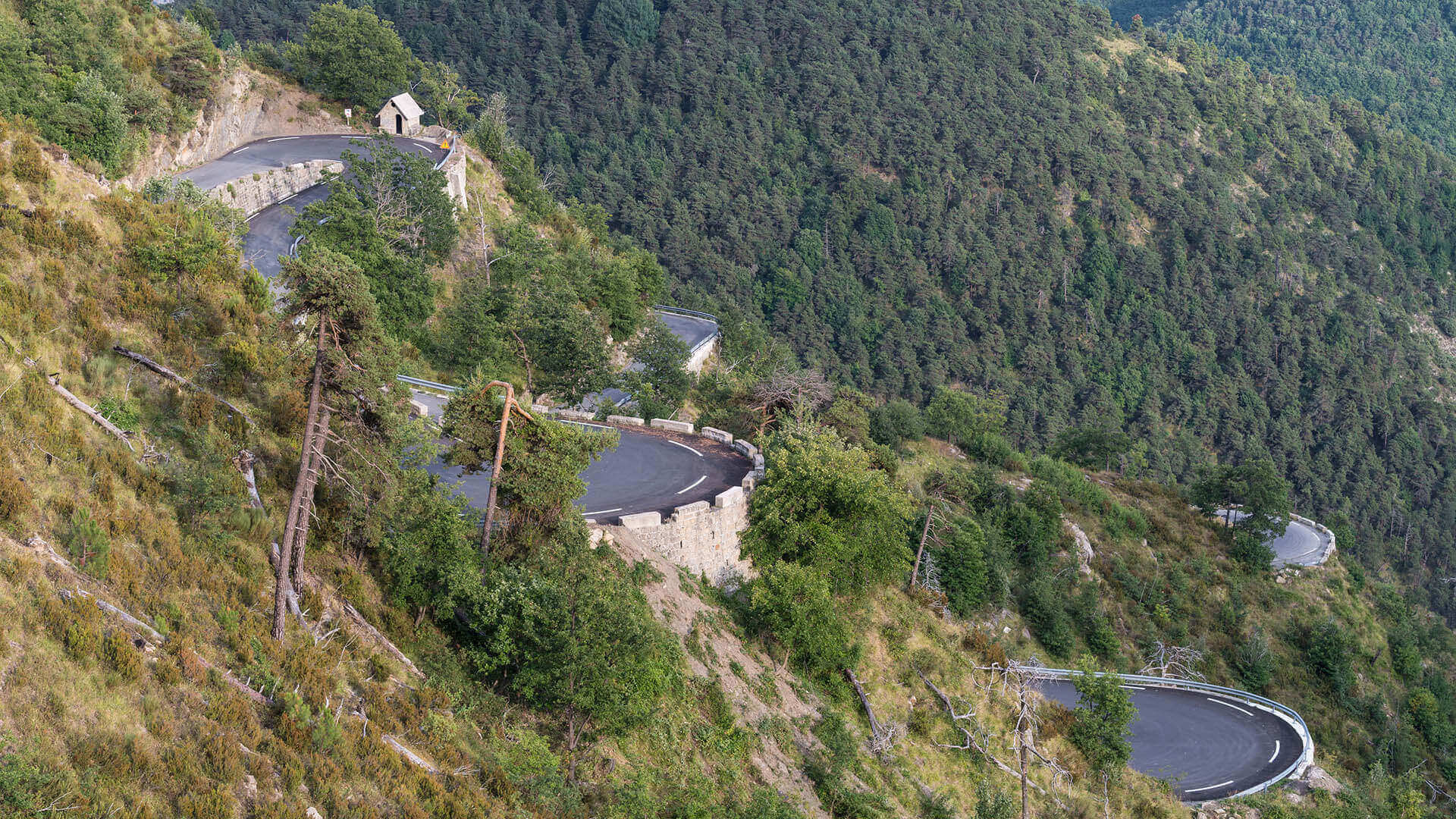 Col de turini road in France